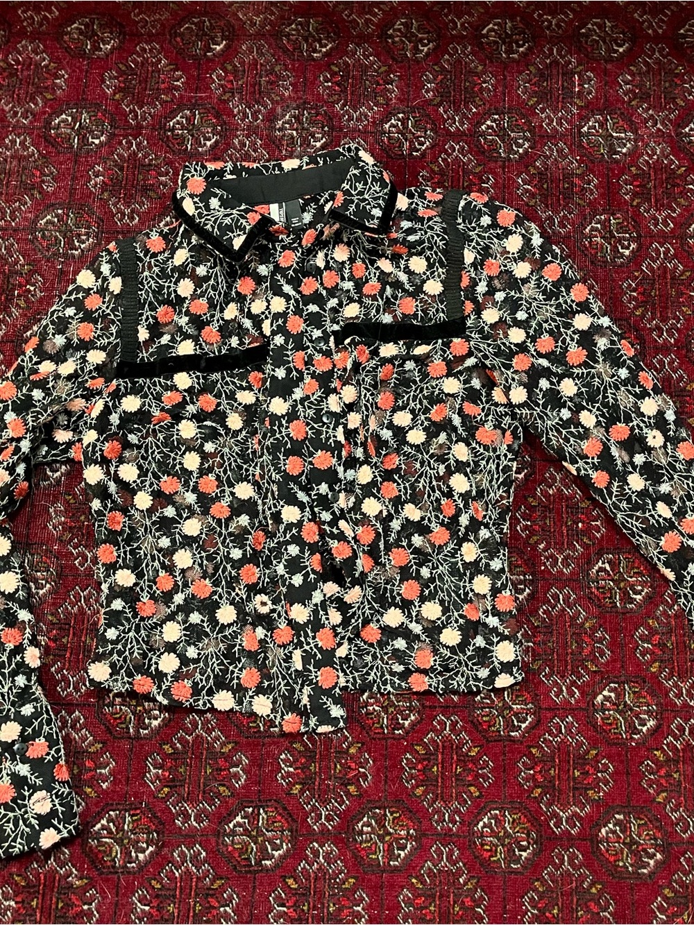 Mesh Floral Embroidered Button-Up